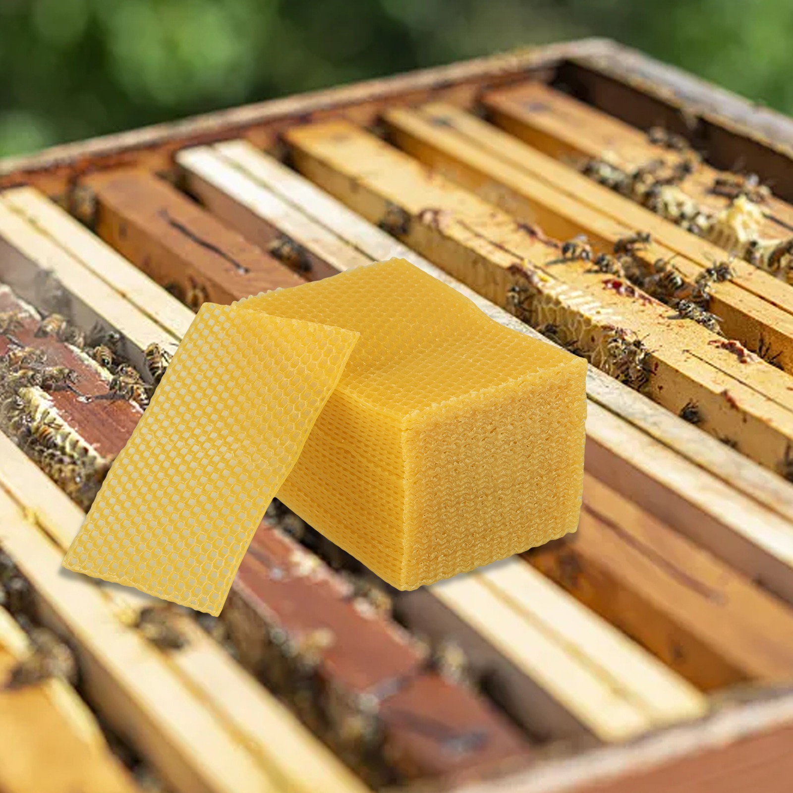 5.24 X 3.54 Beehive Foundation - Beeswax Sheet Roll incelemesi ve fiyatı
